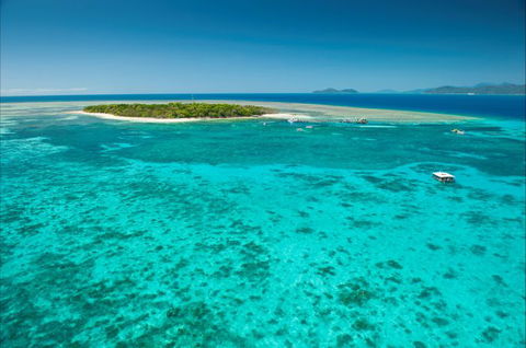 Big Cat Green Island Reef Cruises - Accommodation Mermaid Beach 17