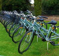 Barossa Bike  - Accommodation Mermaid Beach