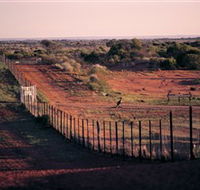 Tri State Safaris - Accommodation Mermaid Beach