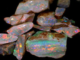 Arid Areas Tours - Accommodation Mermaid Beach 0