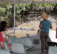 Whitsunday Crocodile Safari - Accommodation Mermaid Beach