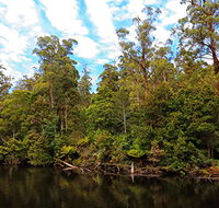A R Reflections River Cruises - Accommodation Mermaid Beach