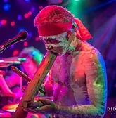 Didgeridoo Jam In The Park - Accommodation Mermaid Beach 1