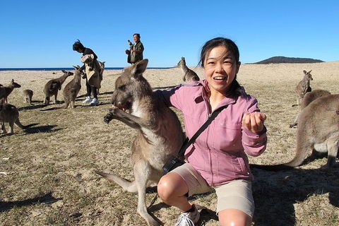 Batemans Bay Full-Day Tour From Canberra Including Indigenous Experience - Accommodation Mermaid Beach 0