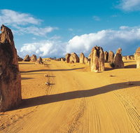 Pinnacles Desert Koalas and Sandboarding 4WD Day Tour from Perth - Accommodation Mermaid Beach