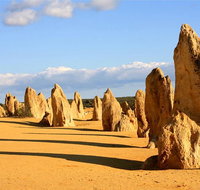 Pinnacles and Yanchep National Park Day Trip from Perth Including Lobster Shack Lunch and Sandboarding - Accommodation Mermaid Beach