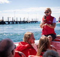 Rottnest Island Tour from Perth or Fremantle including Adventure Speed Boat Ride - Accommodation Mermaid Beach