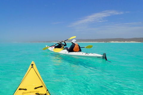 Lagoon Explorer - Ningaloo Reef Full-Day Kayaking And Snorkeling Adventure - Accommodation Mermaid Beach 7