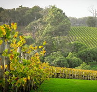 Half-Day Swan Valley  Wildlife Park Tour - Accommodation Mermaid Beach
