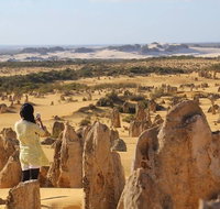 Full-Day Pinnacles Sandboarding and Yanchep National Park from Perth - Accommodation Mermaid Beach