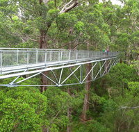 Albany Southwest Wilderness Day Tour - Fly From Perth - Accommodation Mermaid Beach