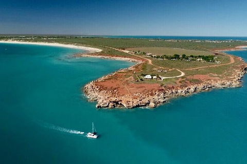 Half-Day Whale Watching Sunset Cruise From Broome - Accommodation Mermaid Beach 10