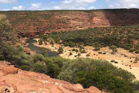 Kalbarri Gorges & West Coast - Ground & Air Tour - Accommodation Mermaid Beach 7