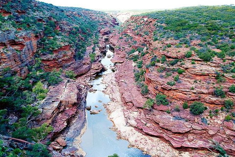 Kalbarri Gorges & West Coast - Ground & Air Tour - Accommodation Mermaid Beach 5
