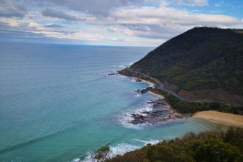 Small-Group Great Ocean Road Day Trip From Melbourne - Accommodation Mermaid Beach 15
