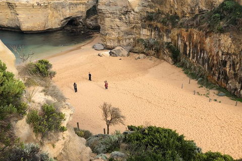 Great Ocean Road Private Tour - Accommodation Mermaid Beach 1