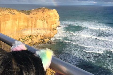 Great Ocean Road Private Tour - Accommodation Mermaid Beach 7