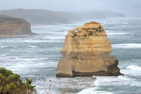Great Ocean Road Private Tour - Accommodation Mermaid Beach 4
