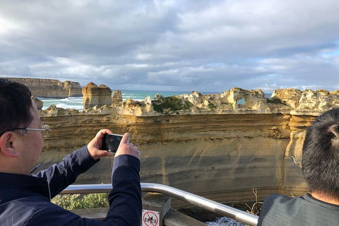 Great Ocean Road Private Tour - Accommodation Mermaid Beach 2