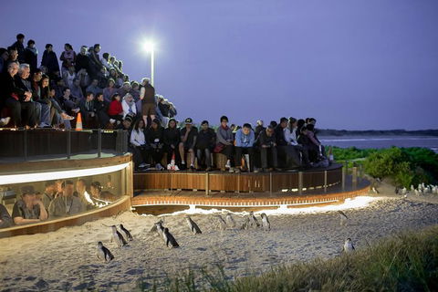 Small-Group Phillip Island Day Trip From Melbourne With Penguin Plus Viewing - Accommodation Mermaid Beach 0