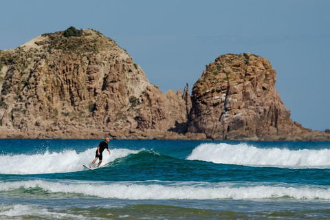 Small-Group Phillip Island Day Trip From Melbourne With Penguin Plus Viewing - Accommodation Mermaid Beach 9