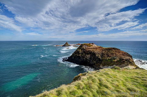 Small-Group Phillip Island Day Trip From Melbourne With Penguin Plus Viewing - Accommodation Mermaid Beach 6