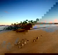 Phillip Island Ultimate Penguin Eco Tour or Skybox Experience - Accommodation Mermaid Beach