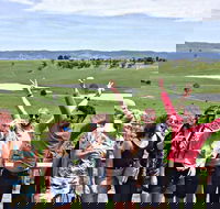 Alternative Yarra Valley Wine Tasting Tour Departing from Melbourne - Accommodation Mermaid Beach