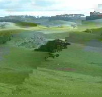 Day Tour of Phillip Island  Surrounding Region - Accommodation Mermaid Beach