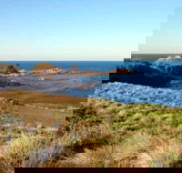 Phillip Island Walking  Bird Watching Tour - Accommodation Mermaid Beach