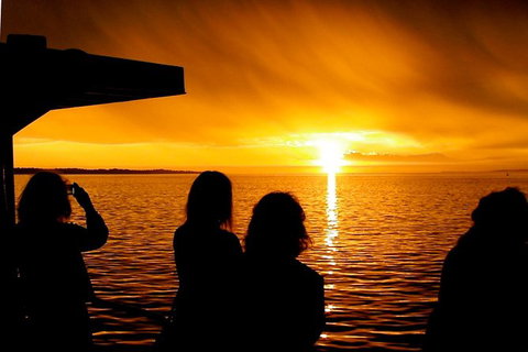 Phillip Island Twilight Cruise - Accommodation Mermaid Beach 1