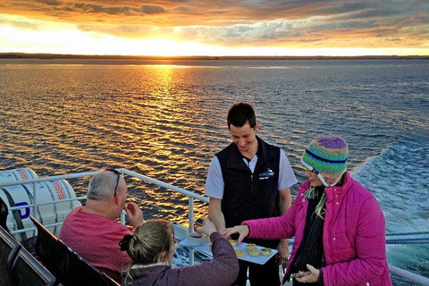 Phillip Island Twilight Cruise - Accommodation Mermaid Beach 8