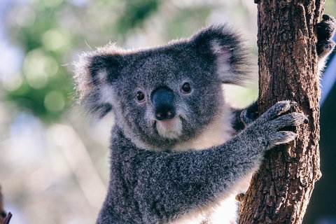 AUSTRALIAN NATIVE FOOD TOUR From Melbourne - Accommodation Mermaid Beach 1