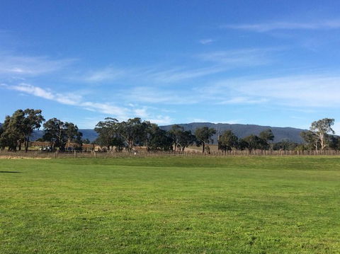 Yarra Valley Wineries And Puffing Billy Steam Train Tour From Melbourne - Accommodation Mermaid Beach 17