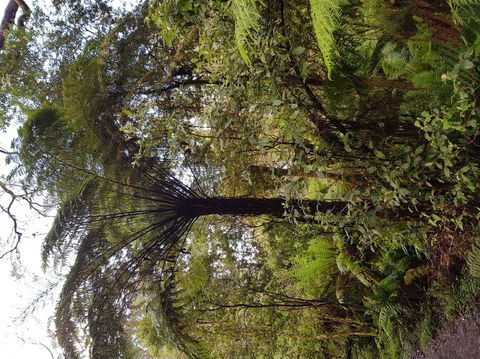 Yarra Valley Wineries And Puffing Billy Steam Train Tour From Melbourne - Accommodation Mermaid Beach 7