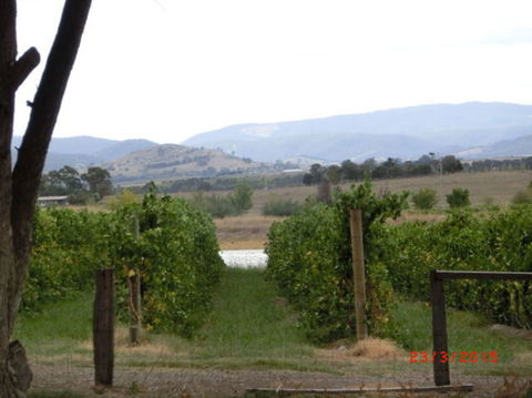 Yarra Valley Wineries And Puffing Billy Steam Train Tour From Melbourne - Accommodation Mermaid Beach 25