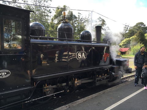 Yarra Valley Wineries And Puffing Billy Steam Train Tour From Melbourne - Accommodation Mermaid Beach 13