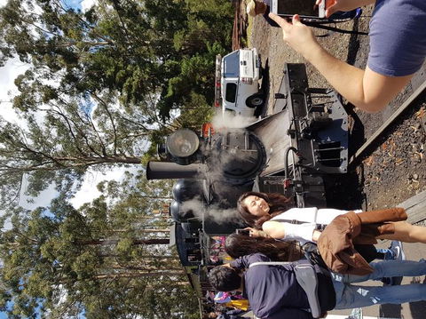 Yarra Valley Wineries And Puffing Billy Steam Train Tour From Melbourne - Accommodation Mermaid Beach 5