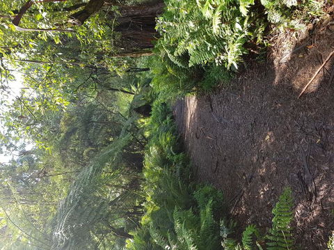 Yarra Valley Wineries And Puffing Billy Steam Train Tour From Melbourne - Accommodation Mermaid Beach 9