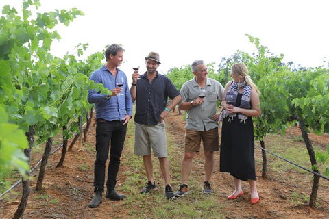 Yarra Valley Wineries And Puffing Billy Steam Train Tour From Melbourne - Accommodation Mermaid Beach 29