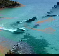 Cape Woolamai Sightseeing Cruise from San Remo - Accommodation Mermaid Beach