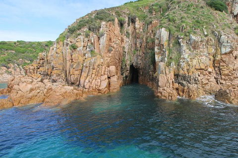 Cape Woolamai Sightseeing Cruise From San Remo - Accommodation Mermaid Beach 4