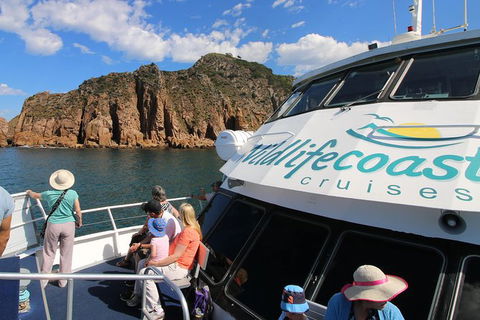 Cape Woolamai Sightseeing Cruise From San Remo - Accommodation Mermaid Beach 9