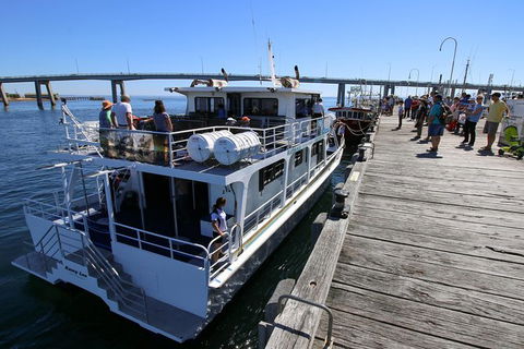 Cape Woolamai Sightseeing Cruise From San Remo - Accommodation Mermaid Beach 7