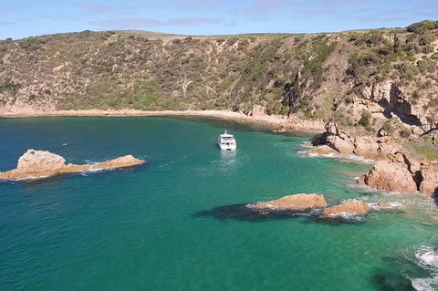 Cape Woolamai Sightseeing Cruise From San Remo - Accommodation Mermaid Beach 6