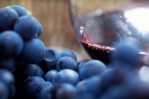 Small Group 6 Guests: Ultimate Mornington Peninsula Food And Wine - Accommodation Mermaid Beach 2