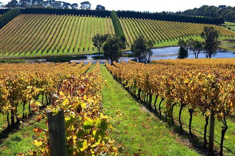 Small Group 6 Guests: Ultimate Mornington Peninsula Food And Wine - Accommodation Mermaid Beach 3