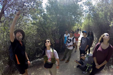 Wineglass Bay Explorer Active Day Trip From Launceston - Accommodation Mermaid Beach 8