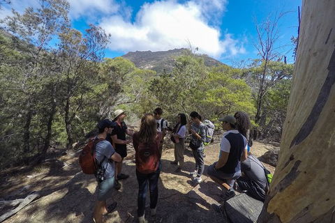 Wineglass Bay Explorer Active Day Trip From Launceston - Accommodation Mermaid Beach 3