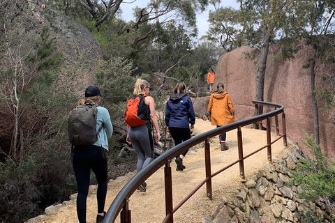 Wineglass Bay Explorer Active Day Trip From Launceston - Accommodation Mermaid Beach 14